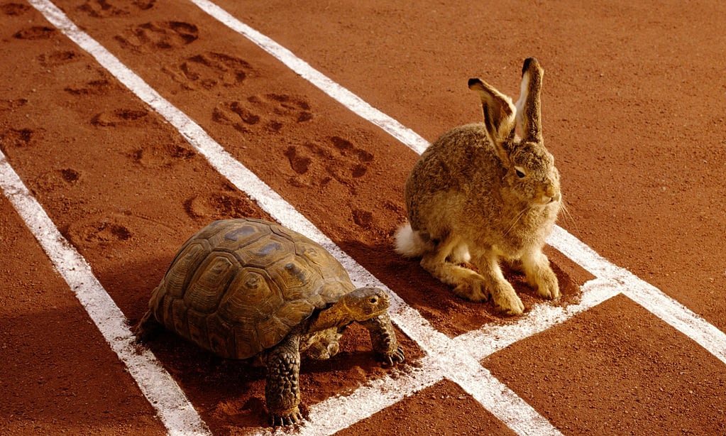 7 principios de ajedrez aplicables a los negocios 3 ventaja competitiva
